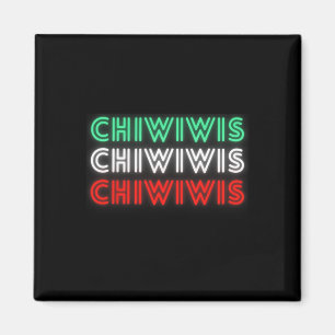 Funny Mexican Latino Chicano Cholo Cinco De Mayo C Magnet