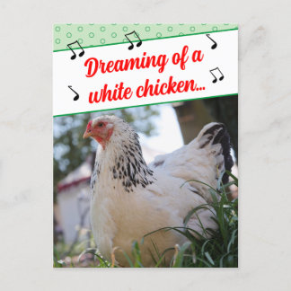 Funny Mishear Song Texte White Chickens Foto Feiertagspostkarte