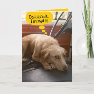 Funny Mixed Rasse Hund Belated Birthday Card Karte
