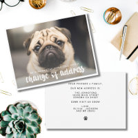 Funny Modern change Address Pet Dog Foto
