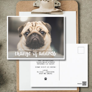 Funny Modern change Address Pet Dog Foto Postkarte