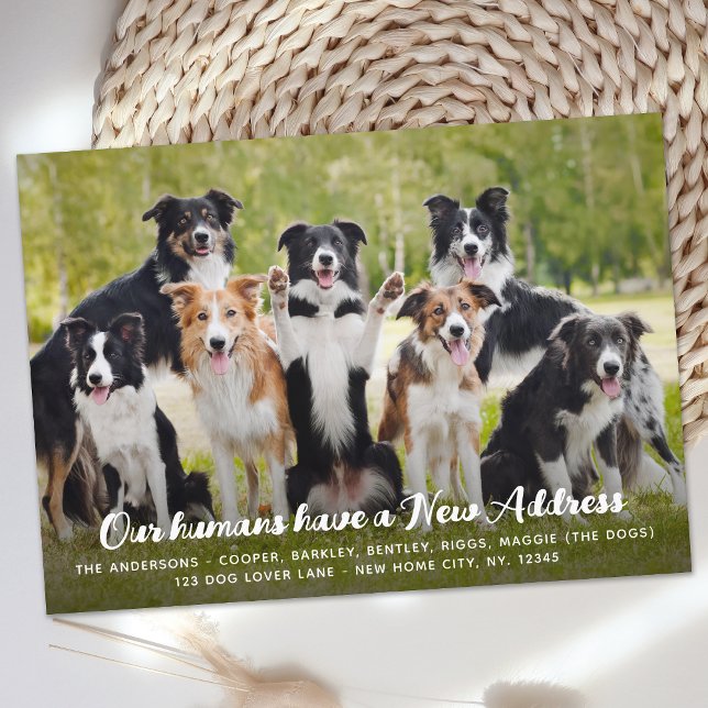 Funny Modern New Address Custom Pet Dog Foto Ankündigung (Von Creator hochgeladen)