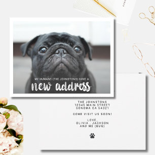Funny Modern New Address Pet Dog Foto Einladung