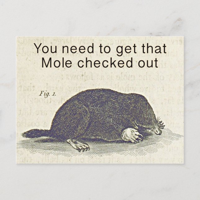 Funny Mole Greetings Card, Animal Birthday Spaß Postkarte (Vorderseite)