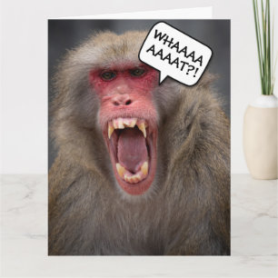 FUNNY MONKEY ÄLTERE BIRTHDAY GREETING CARD KARTE