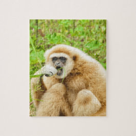 Funny Monkey Animal Puzzle