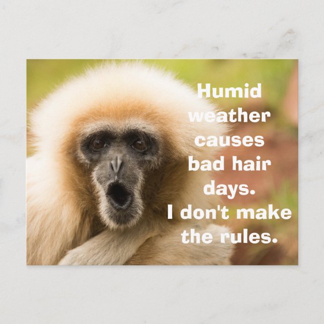 Funny Monkey Bad Hair Day Postkarte (Vorderseite)