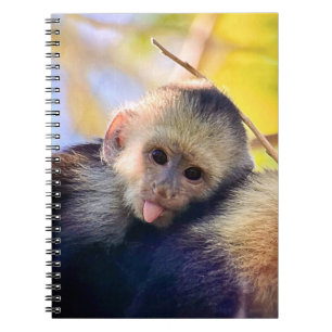 Funny Monkey Notebook Notizblock