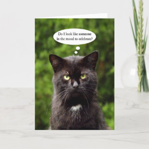 Funny Moody Black Cat Geburtstagkarte Karte