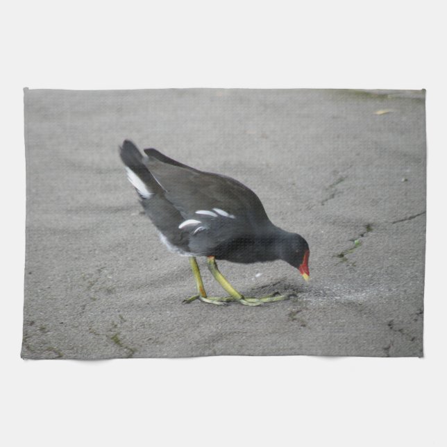 Funny Moorhen Nehmen Sie ein Bow Kitetücher Handtuch (Horizontal)