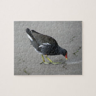 Funny Moorhen Nehmen Sie ein Bow Puzzle