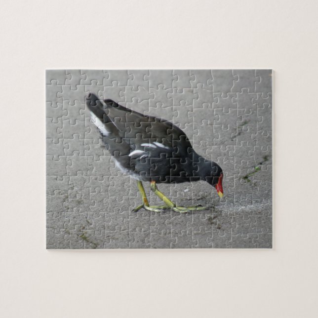 Funny Moorhen Nehmen Sie ein Bow Puzzle (Horizontal)