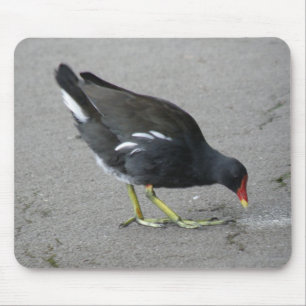 Funny Moorhen Nehmen Sie eine Bow Mousepad