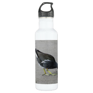 Funny Moorhen Nehmen Sie eine Flasche Edelstahlflasche