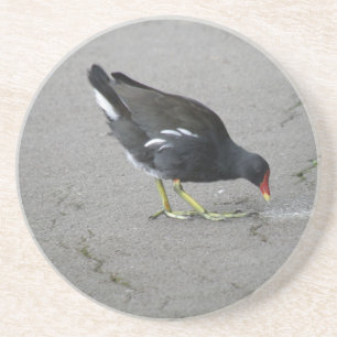 Funny Moorhen Nehmen Sie einen Bow-Untersetzer Sandstein Untersetzer