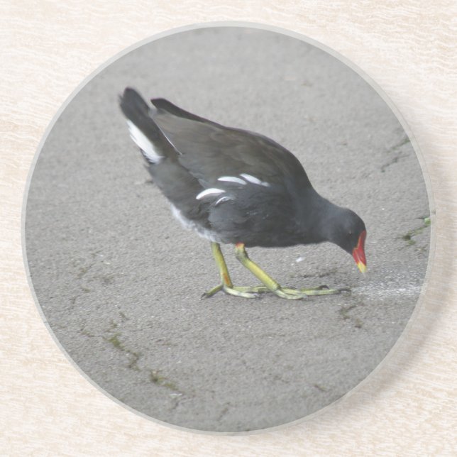 Funny Moorhen Nehmen Sie einen Bow-Untersetzer Sandstein Untersetzer (Vorne)