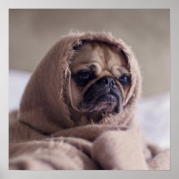 Funny Mops Dog Nah-Up Poster