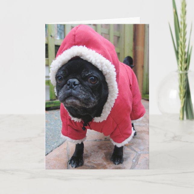 Funny Mops Geburtstagskarte Karte (Vorderseite)