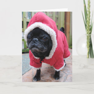 Funny Mops Geburtstagskarte Karte