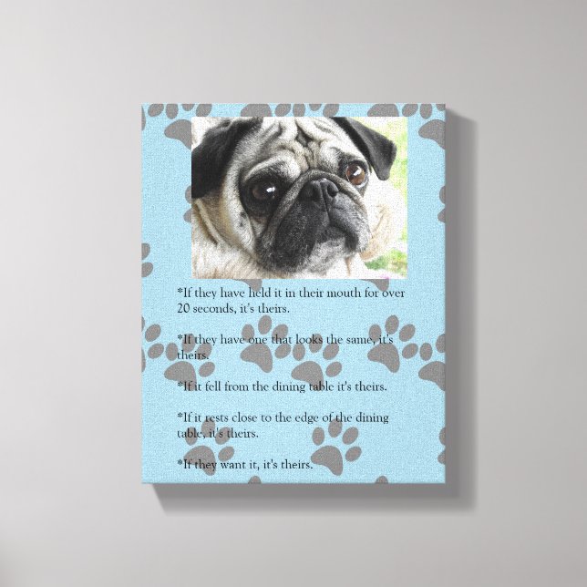 Funny MOPS Laws of Posession White Mops Leinwanddruck (Vorderseite)
