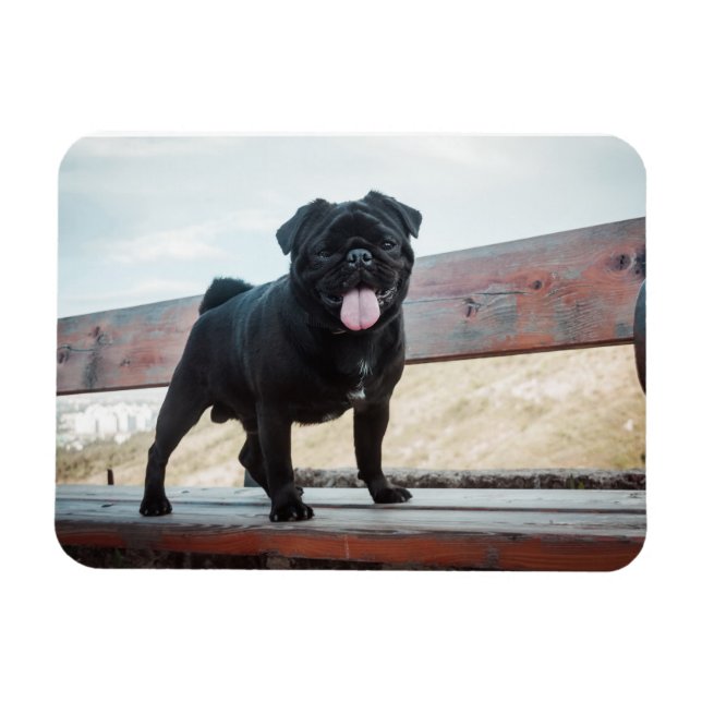 Funny Mops Magnet (Horizontal)