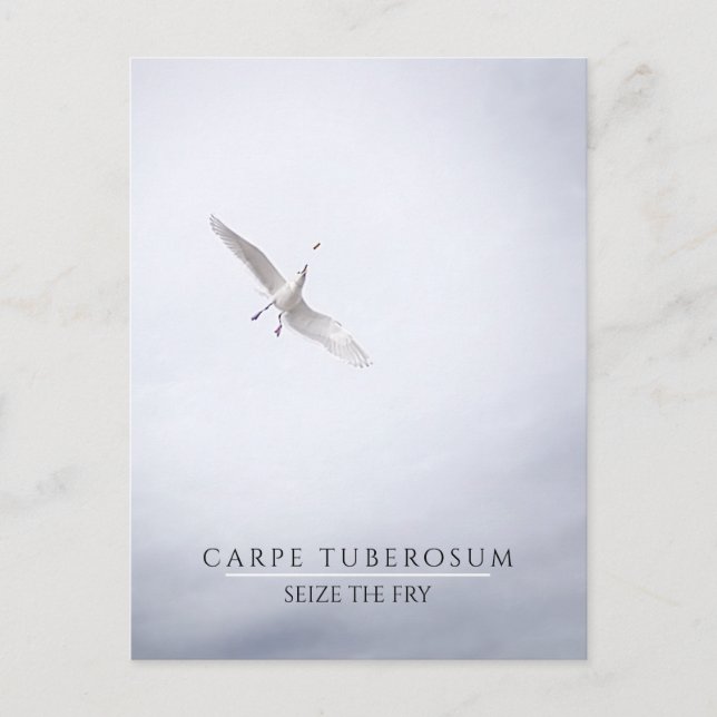 Funny Motivierend Seagull Carpe Diem French Fries Postkarte (Vorderseite)