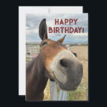 FUNNY Mule Birthday Animal Card Real Eays Feiertagskarte<br><div class="desc">Ein freundliches Maultier sah mich an und lächelte. Wer kann diesem Lachen widerstehen,  jenes Lächeln. Geburtstagsgruß sind glückliche Zeiten.</div>