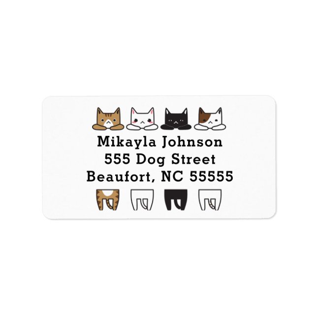 Funny Multicolor Cat Frame Adressaufkleber (Vorne)