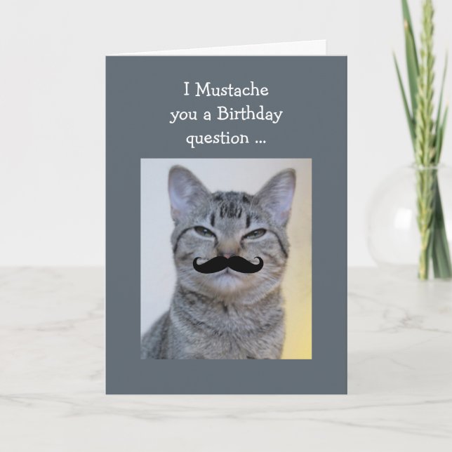Funny Mustache Question Birthday Cat Karte (Vorderseite)
