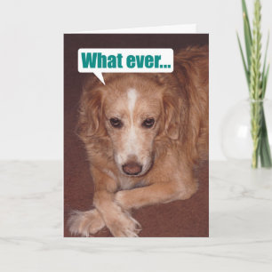 Funny Mutt mit Vogelflugschein Karte