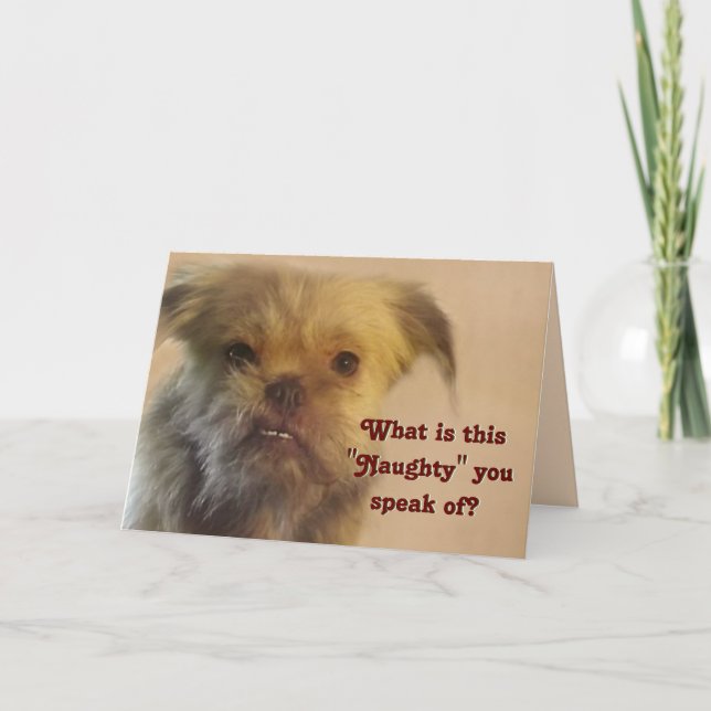Funny Mutt Naughty Question Hund Foto Weihnachten (Vorderseite)