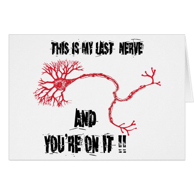 Funny My Last Nerve (Vorderseite (Horizontal))