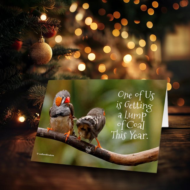 Funny Naughty oder Nice Cheeky Pair von Zebra Finc (Funny Zebra Finches Christmas Card Cover Photo)