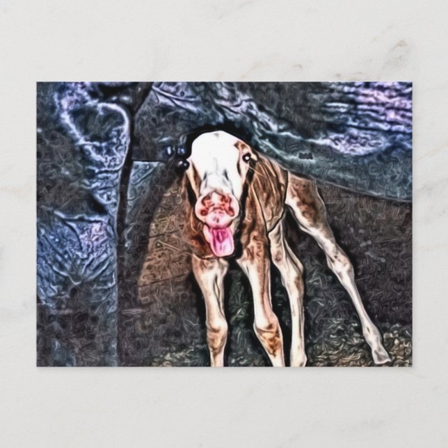 Funny Newborn Foal Postkarte (Vorderseite)