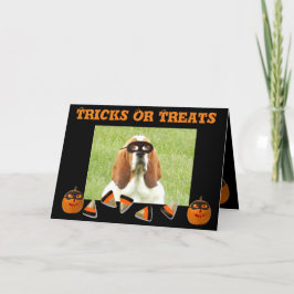 Funny & Niedlich Basset Hound & Pumpkin Halloween  Karte