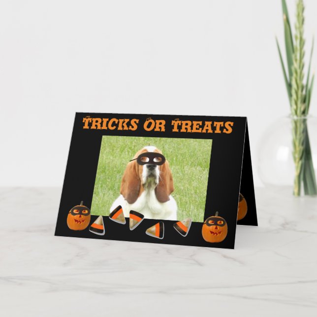Funny & Niedlich Basset Hound & Pumpkin Halloween  Karte (Vorderseite)