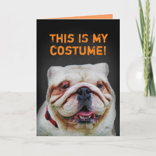 Funny Niedlich Bulldog Halloween Karte