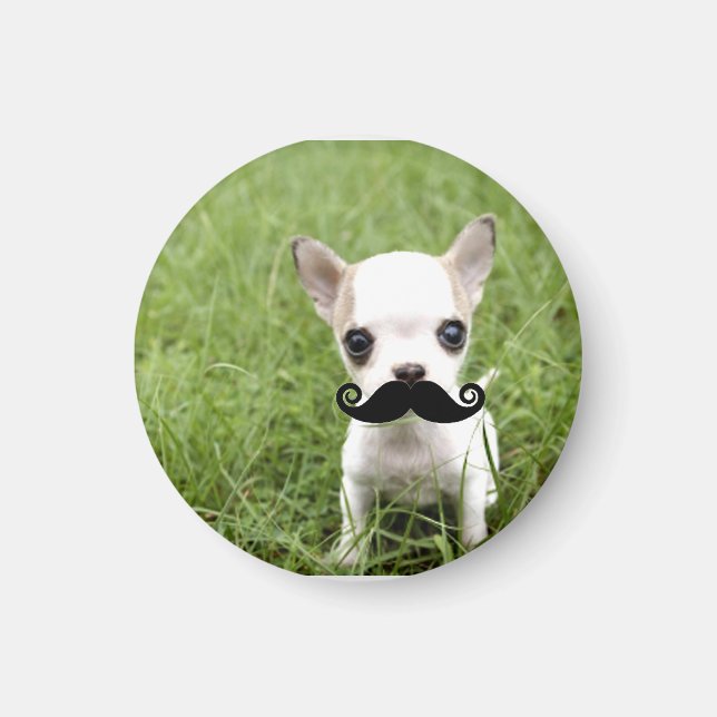 Funny Niedlich Chihuahua mit Mustache Magnet (Vorne)