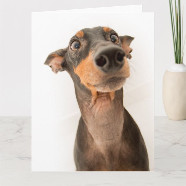 Funny Niedlich Doberman Puppy Dog Karte (Vorderseite)