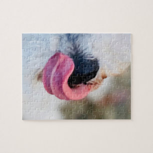 Funny Niedlich Dog Tongue White Schnauzer Puzzle