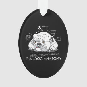 Funny Niedlich English Bulldog Anatomie Hunde Biol Ornament