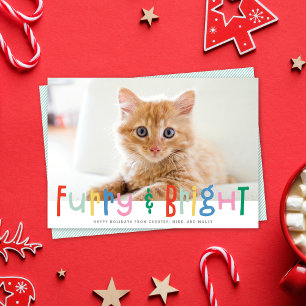 Funny Niedlich Furry & Bright Hund Katze Pet Foto Feiertagskarte