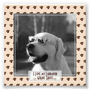 Funny Niedlich Golden Labrador Retriever FOTO bena