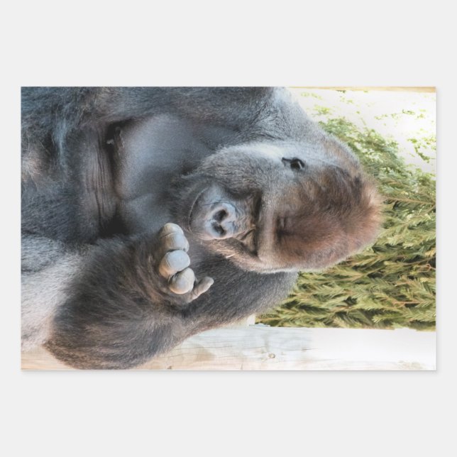 FUNNY NIEDLICH GORILLA GESCHENKPAPIER SET (Vorderseite)