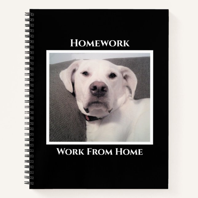 Funny Niedlich Grumpy White Dog Schwarze Hausaufga Notizbuch (Vorderseite)