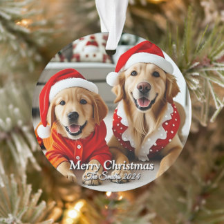 Funny, Niedlich, Modernes Foto Weihnachten Ornament