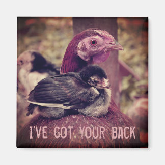 Funny Niedlich Mother Hen and Chick Magnet