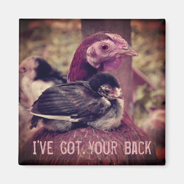 Funny Niedlich Mother Hen and Chick Magnet (Vorne)