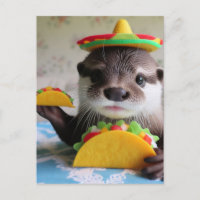 Funny Niedlich Otter mit Tacos