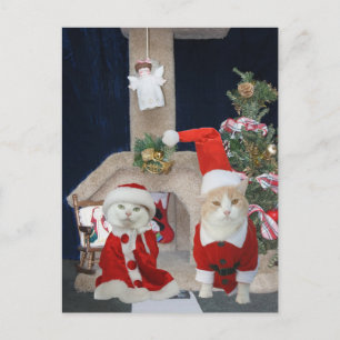 Funny/Niedlich Weihnachten Kitty Condo